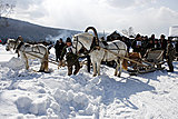 Зима. Поселок Карам, кони, сани, упряжка